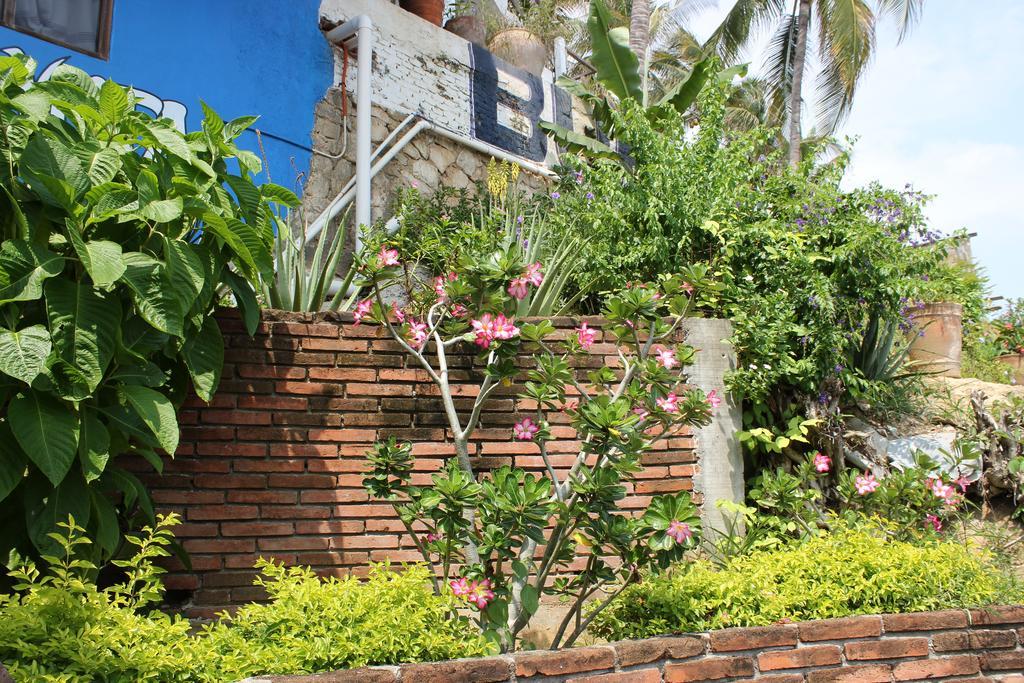 Hotel Buena Vista Puerto Escondido  Extérieur photo